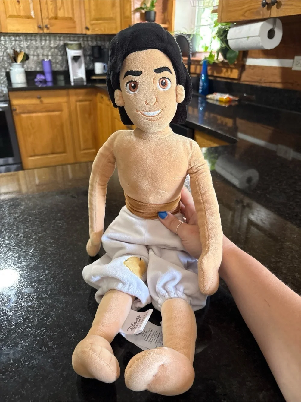Disney Store Authentic Aladdin Plus